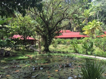 esquinas rainforest lodge