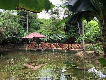 esquinas rainforest lodge