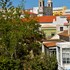 faro