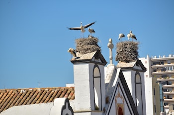 faro