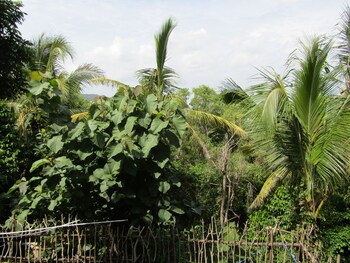 bantul