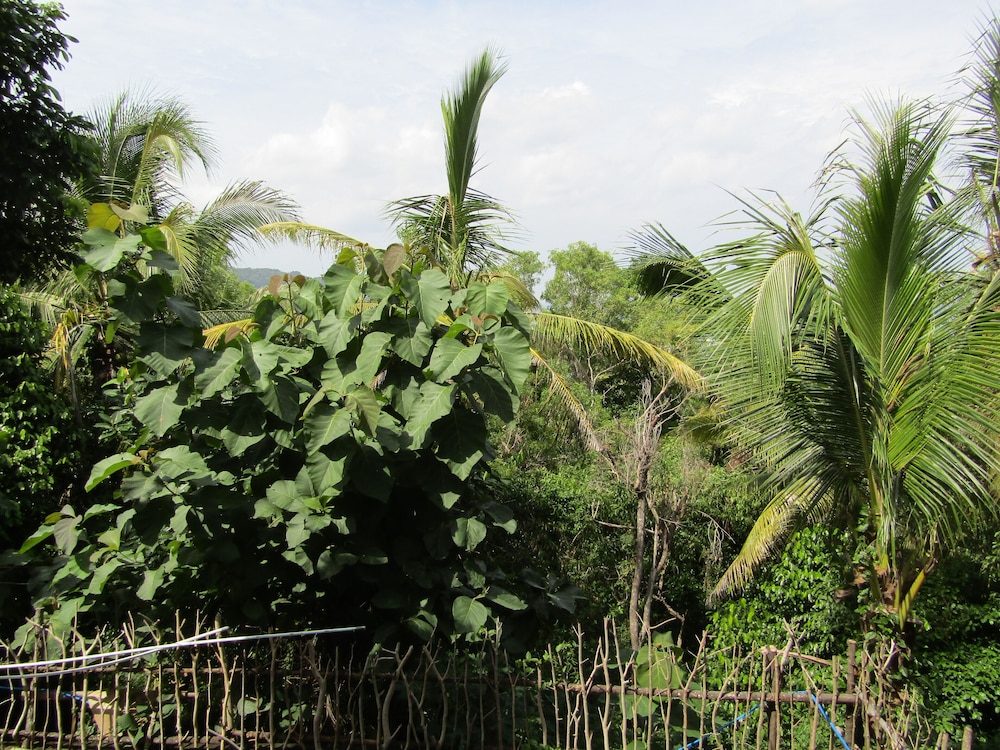 bantul