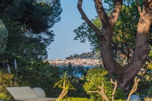 les capucines saint tropez