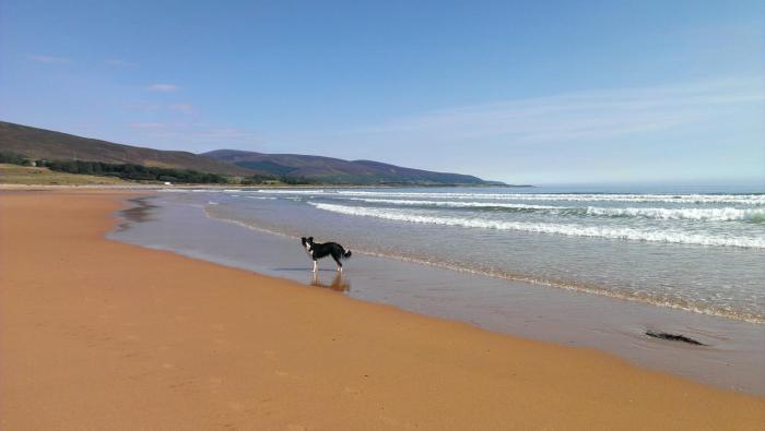 helmsdale lodge hostel