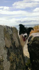 helmsdale lodge hostel