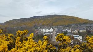 helmsdale lodge hostel