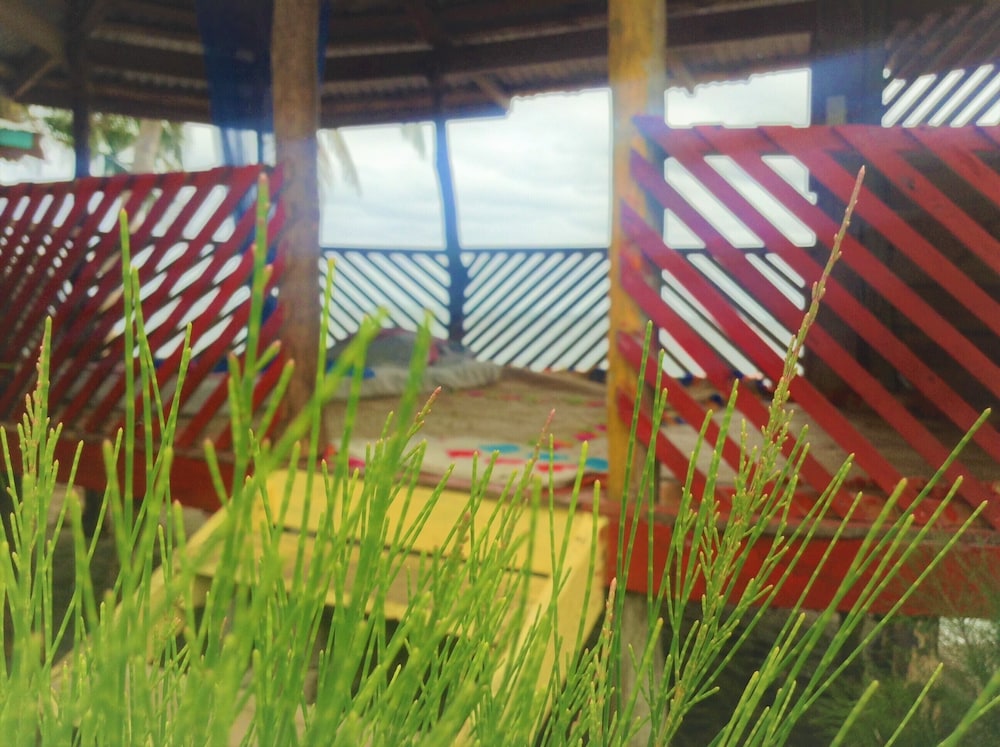 sina pj beach fales and surf