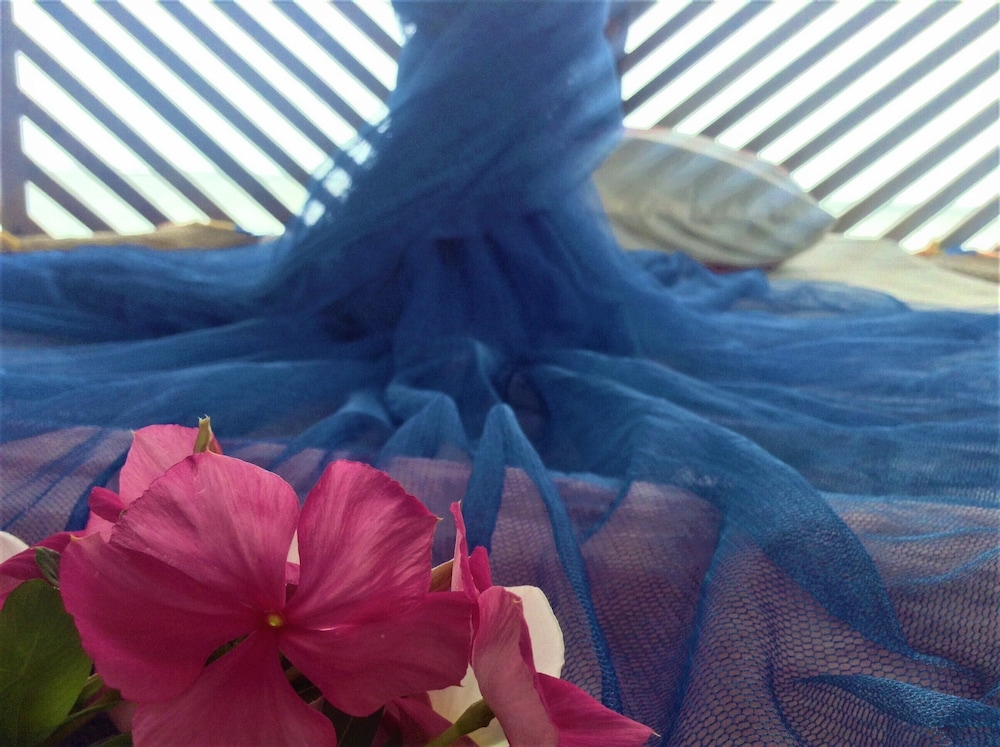 sina pj beach fales and surf