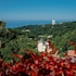 sochi