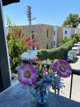 bodrum