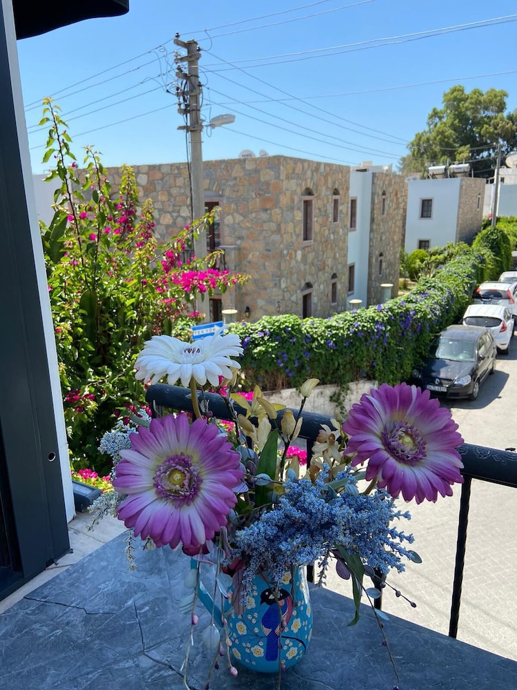 bodrum