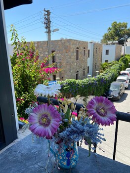bodrum