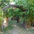 bagan village resort hotel