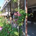 neoss boutique hotel