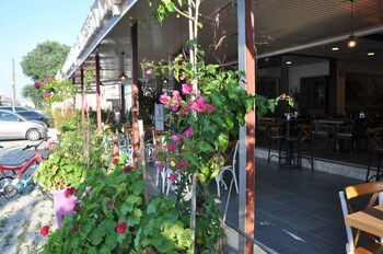 neoss boutique hotel