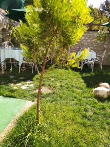 badeli konak safranbolu