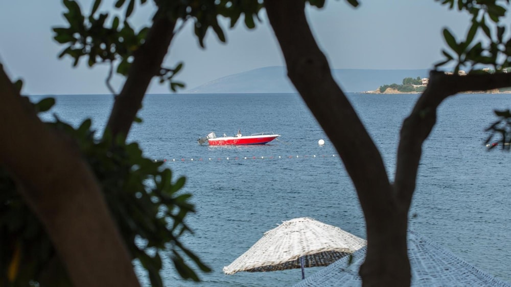 teos ormanci tatil koyu