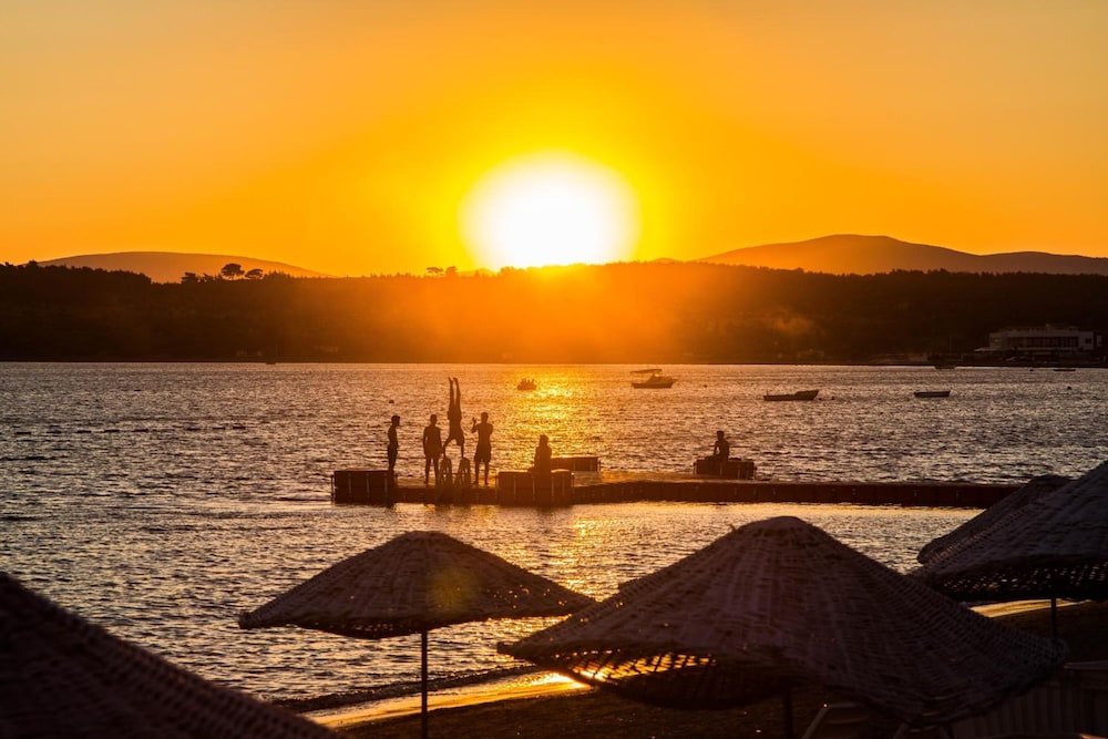 teos ormanci tatil koyu