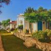 teos ormanci tatil koyu