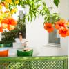 teos ormanci tatil koyu