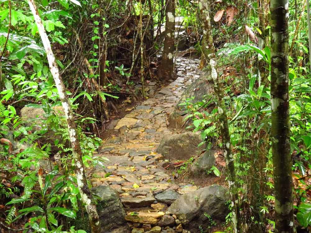 rambas reserve