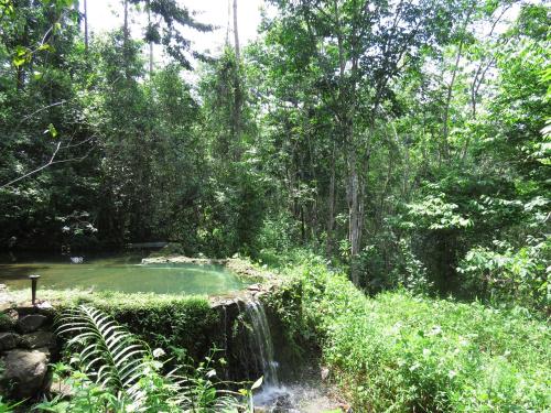 rambas reserve
