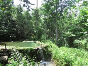rambas reserve