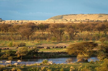 serengeti river camp