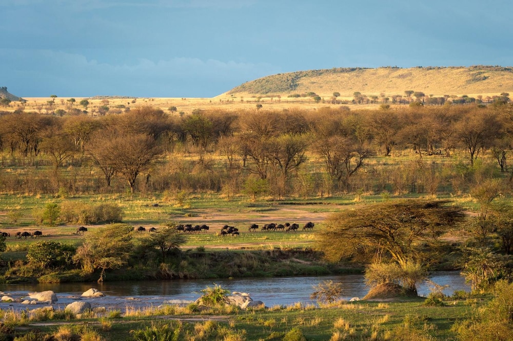 serengeti river camp