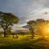 serengeti river camp