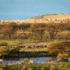 serengeti river camp