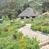 nyungwe nziza ecolodge