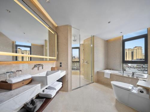 hilton garden inn heze
