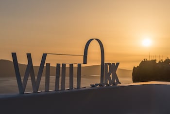 white ark adults only