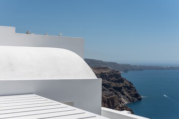 white ark adults only