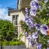ambleside