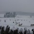 ambleside