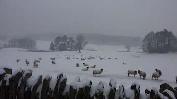 ambleside