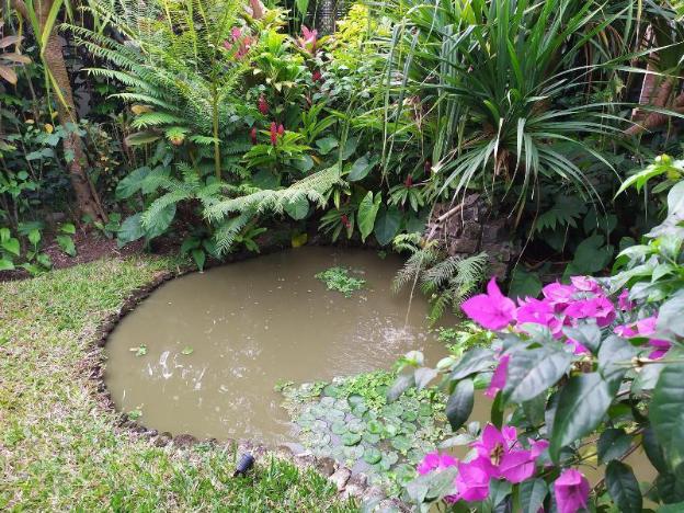 gopala villa ubud