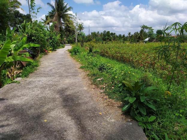 ubud