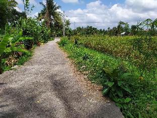 ubud