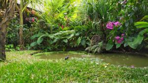 gopala villa ubud
