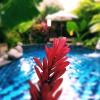 gopala villa ubud