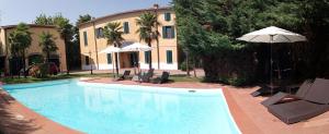 carpi