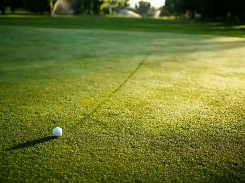 pullman huizhou kaisa