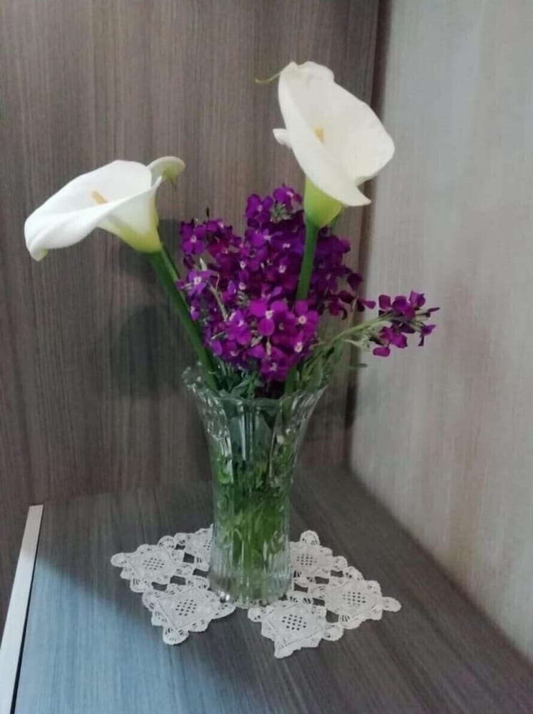 montemaggiore belsito