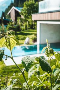 saalbach hinterglemm