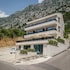 kotor