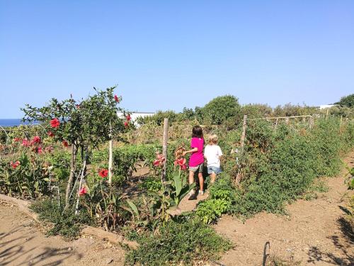 agriturismo hibiscus