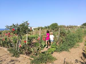 agriturismo hibiscus